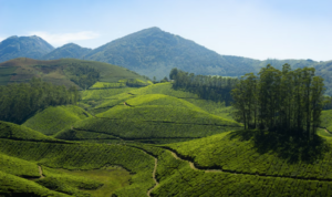 Aerial Video Production Company is San Francisco